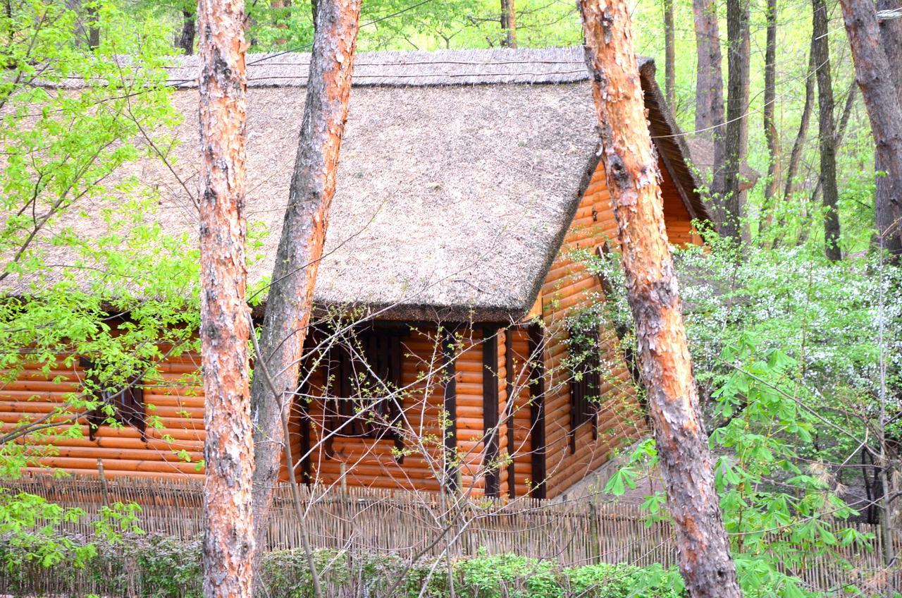 Chumatskiy Shlyah Romankiv Bagian luar foto